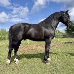 Aslan-3 (CO)
