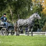 Tamin (ED/EV)<br />&copy; Patrycja Szymańska