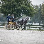 Dante RK (T)<br />&copy; Patrycja Szymańska