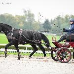 Irys-KZ (ED/EN)<br />&copy; Katarzyna Broda ( faraa )