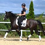 Centurina<br /><i>https://prohipo.pl/pl/Horses/Detail/1110?categoryId=1</i>