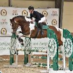 Magnus - Polowa Próba Wierzchowa Ogierów, Radzionków, 14-15.04.2026<br />&copy; Katarzyna Wiszowaty/pzhk.pl