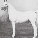 Zab