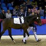 Cornet's Sandro Z