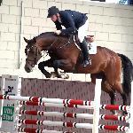 Johnnie Walker VDL / Jordan<br /><i>https://www.vdlstud.com/en/paarden/Johnnie-Walker-Zapatero-VDL-x-Mermus-R/</i>