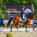 Despacito<br />&copy; Katarzyna Broda ( faraa ) - photography