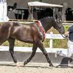 Ron - Syriusz (CO)