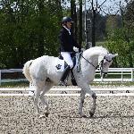 Corneta C<br /><i>https://prohipo.pl/pl/Horses/Detail/1048?categoryId=5</i>