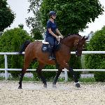 Gesalle<br /><i>https://prohipo.pl/pl/Horses/Detail/1098?categoryId=2</i>