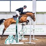 Rodeo VG