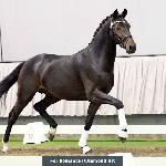 Fabiano