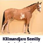 Kilimandjaro Semilly