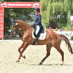Weering's Junior<br />&copy; Katarzyna Boryna