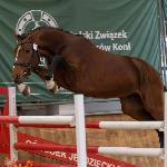 Niu Emerald Lazar<br />&copy; Izabela Ciepła
