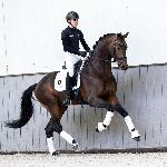 Powerdale / Power Dancing<br /><i>https://www.vanolsthorses.com/wp-content/uploads/2024/01/U2A4545.jpg</i>