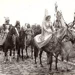 Greta<br /><i>od lewej Lotta, Hera, Greta i Palma</i>
